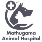 Animal Hospital